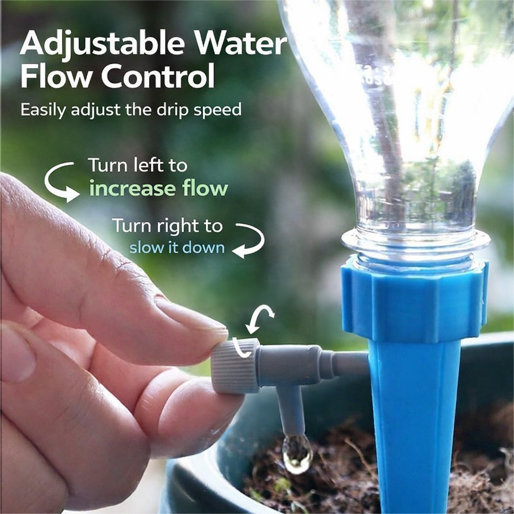 Automatic plant waterer in use with a succulent showing healthy growth